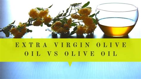 Extra Virgin Olive Oil Vs Olive Oil Difference Explained Using 7