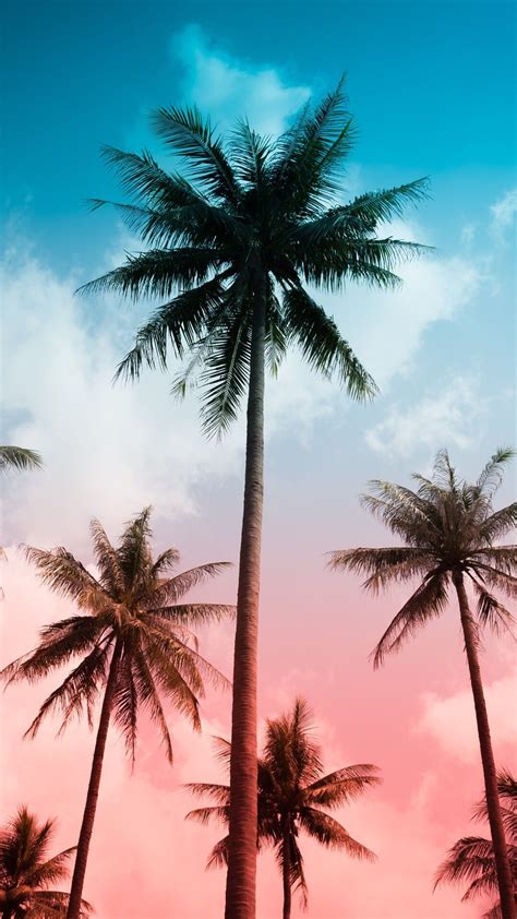 Summer Vibes Wallpapers Wallpaper Cave