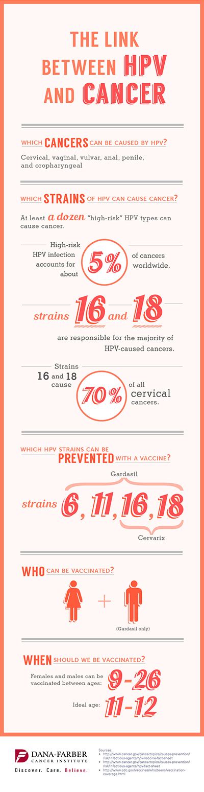 The Link Between Hpv And Cancer Infographic Dana Farber Cancer