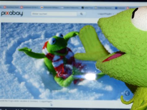 Kermit Frosch Computer Kostenloses Foto Auf Pixabay