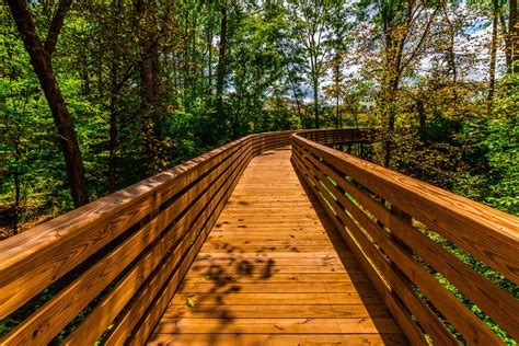 Boardwalk Design And Construction — Backwoods Bridges Custom Timber