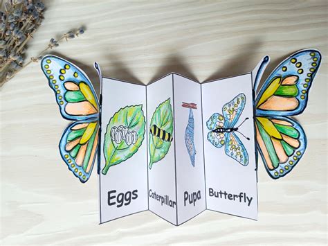 Butterfly Life Cycle Foldable Butterfly Montessori Cards Etsy