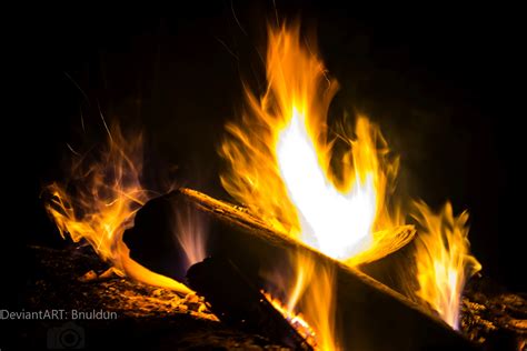 Roaring Fire By Bnuldun On Deviantart