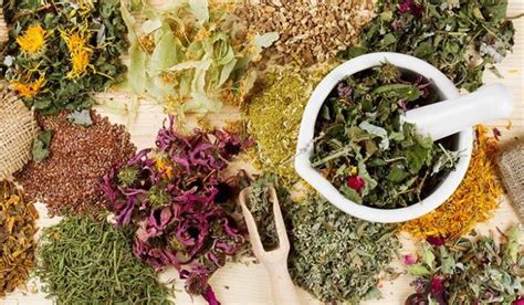 Mixing Herbal Remedies With Prescription Drugs Could Be Dangerous