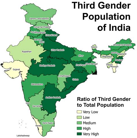 Counting The Third Gender Lessons From 2011 For An Inclusive 2021