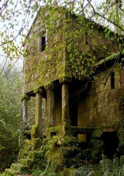 Old Farm House Covered In Moss And Vines Once Upon A Time Pinterest