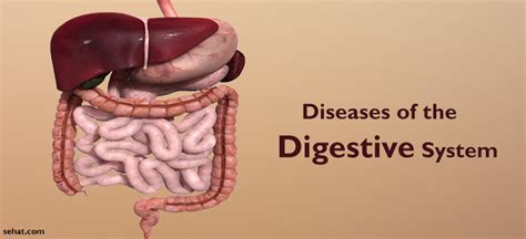Digestive System Diseases Chart