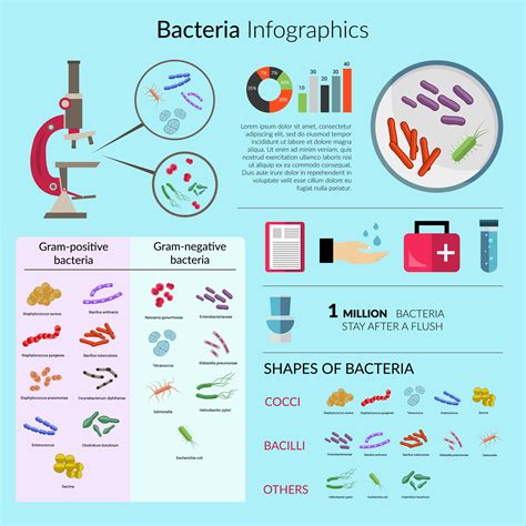 Bacteria Infographic Set 427802 Vector Art At Vecteezy