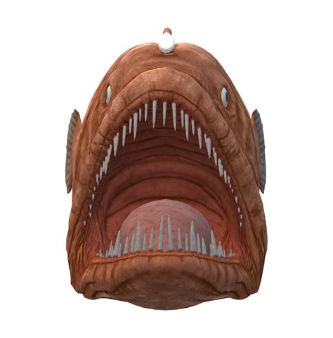 Angler Fish Isolated On A Transparent Background 23835809 Png