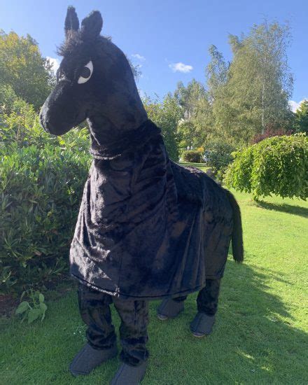 Masquerade Black 2 Man Horse Costume Pantomime Horse Animal Fancy Dress