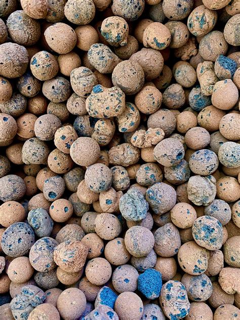 Leca Clay Pebbles Hydroponic Growing Expanded Clay Balls Etsy
