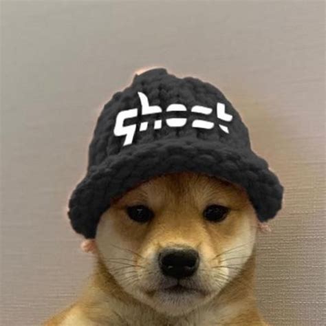 Ghost Gaming Dogwifhat Dogwifhat Famous Dogs Dog