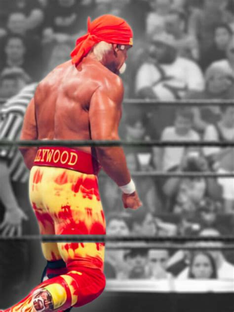 Hulk Hogan And Shawn Michaels A Mockery At Summerslam 2005 Pro