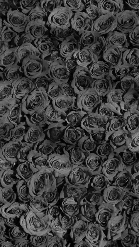 Rose Dark Bw Pattern Background Iphone 8 Wallpaper