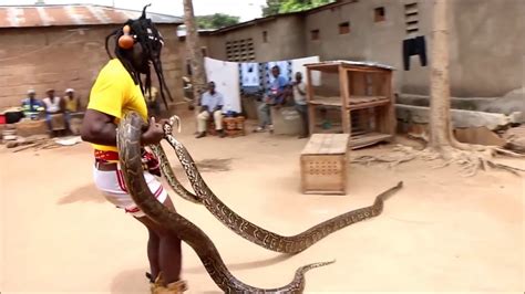 Giant Snakes Anaconda Eats Man Alive Youtube Otosection