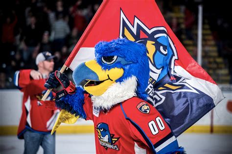 Springfield Thunderbirds release promotional schedule for 2019-20 ...