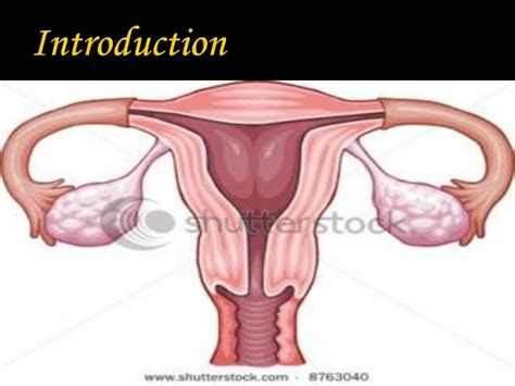 Ppt On Assessmaent Of Female Reproductive System