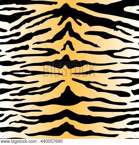 Tiger Seamless Vector Photo Free Trial Bigstock