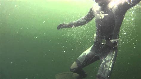 Snorkeling With Orcas Ketchikan Alaska Youtube