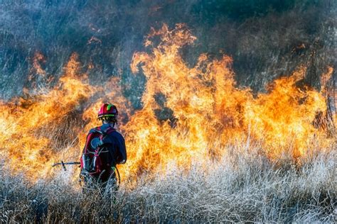 Bombero Tratando De Apagar Un Incendio Forestal Foto Premium