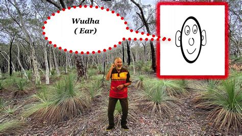 Aboriginal Wiradjuri Language Youtube