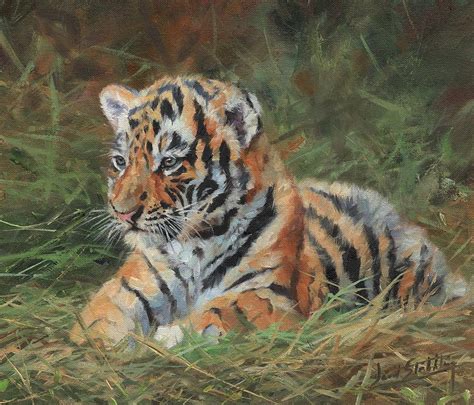 Tiger Cub In Grass Painting By David Stribbling Fine Art America
