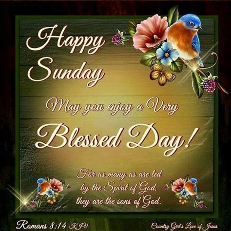 Very Blessed Sunday Pictures Photos And Images For