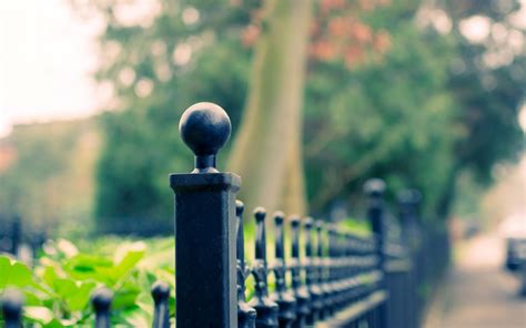 Fence Full Hd Wallpaper And Background Image 1920x1200 Id593267
