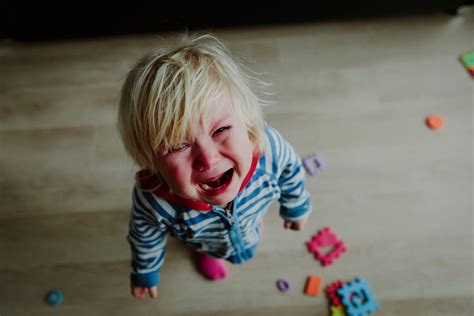 Taming Toddlers Meltdowns Tantrums Screaming And Whining