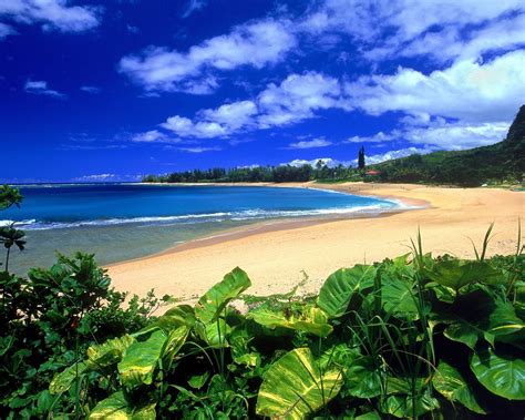 Beautiful Scenery Of Hawaii Wallpaper 11 1280x1024 Wallpaper