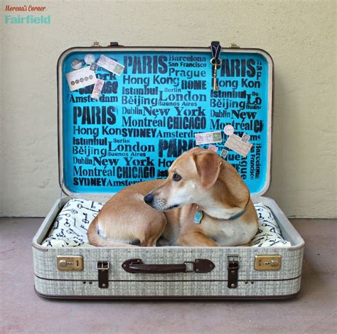Repurpose A Suitcase Into A No Sew Pet Bed Morenas Corner