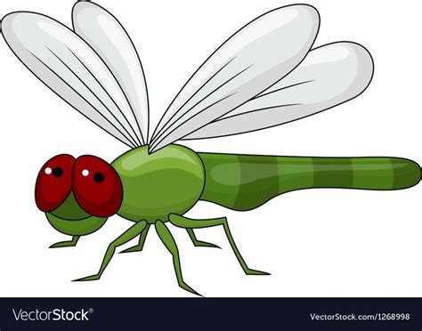 Vector Illustration Of Dragonfly Cartoon Download A Free Preview Or