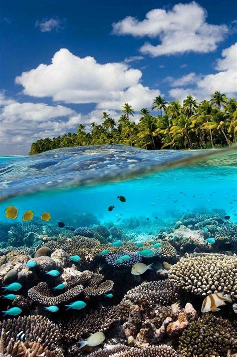 Cook Islands Wallpapers Top Free Cook Islands Backgrounds