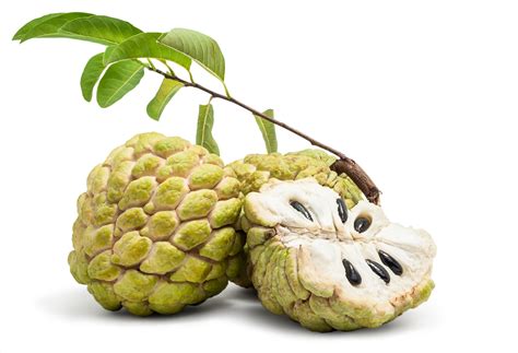 Read on to learn about growing cherimoya fruit, cherimoya plant care, and other interesting cherimoya tree info. 10 Exotic and Delicious Fruits You Should Try at Least ...