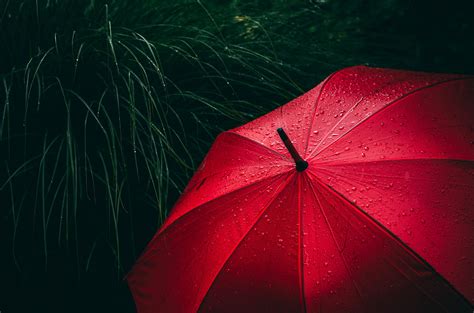 Umbrella 4k Wallpaper Red Rain Droplets Rainy Day 5k