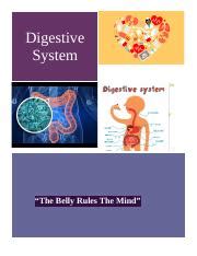 What is the digestive system? Westin Cinnamond - Digestive system 2019 - www ...