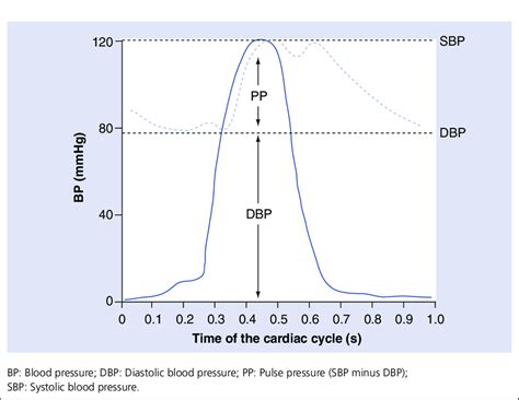 Blood Pressure Profile Measured In The Left Ventricle And In The