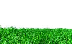 Wordnet lexical database for english. Lawn definition and meaning | Collins English Dictionary