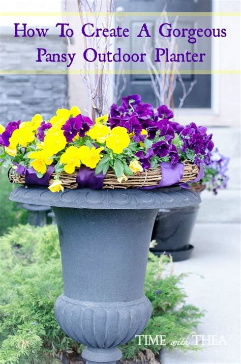 Is Expired Outdoor Planters Pansies Container Plants