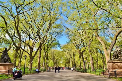 15 Best Central Park Photo Spots Take Amazing Pictures In Nyc