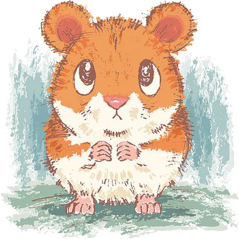 Hamsters Drawing Illustrations Royalty Free Vector Graphics And Clip Art