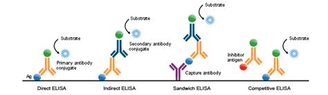 Direct elisa, indirect elisa, sandwich elisa, competitive elisa, multiplex elisa. ELISA Pairs Kits - Resources - Support - Abnova