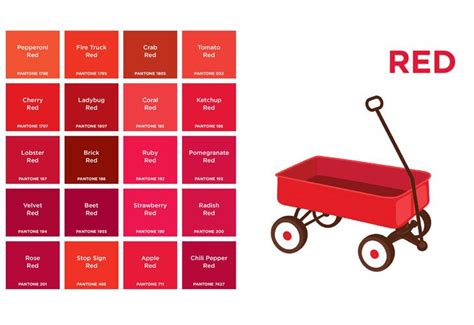 Pantone Colors Is A Fun Board Book For Babies And Toddlers That