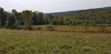 New York Land Quest 87 Acres Hunting Land And Recreational Land In