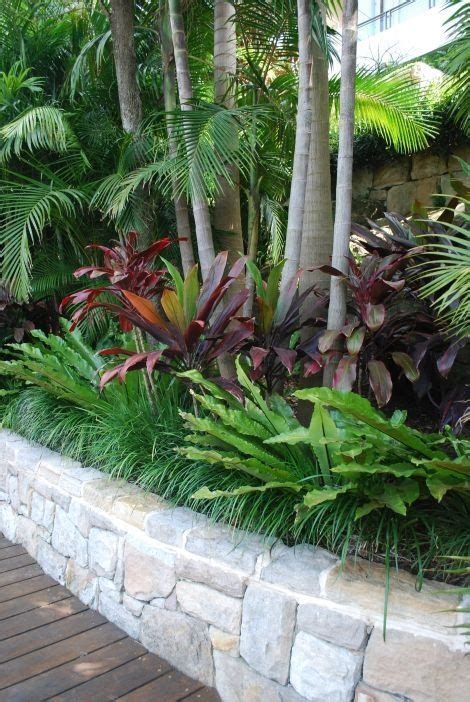 Tropical Garden Planting Under Palm Trees Using Canna Lilies And Lily