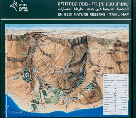 Ein Gedi Nature Reserve Visitors Guide With Tracks Nature Reserve