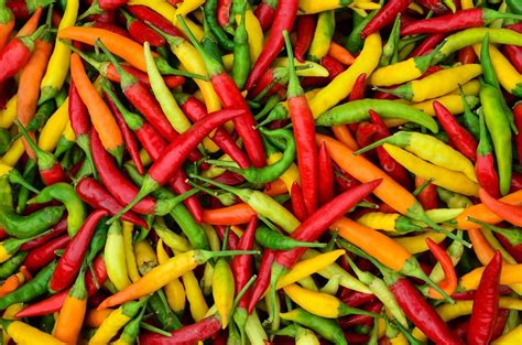 What if your dog ate hot pepper that's not a chili pepper? How Chili Peppers Can Be Used to Treat Pain