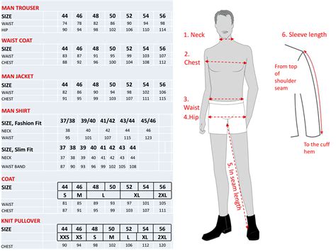 The Body Measurements Chart For Women And Men Stock P