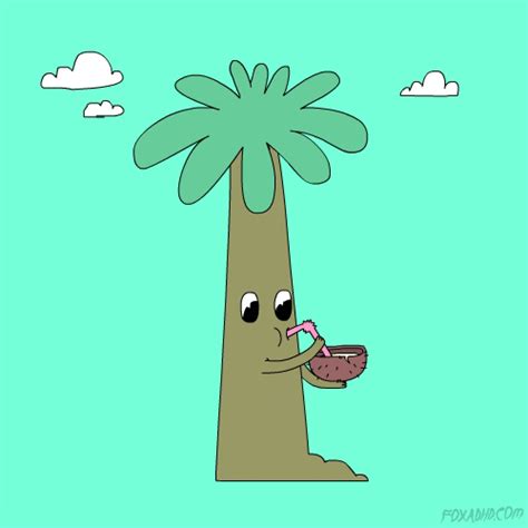 Coconut Tree S On Giphy