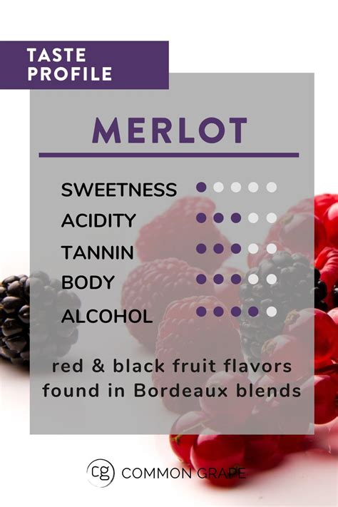 What Is Merlot All About What Does It Taste Like What Regions Produce